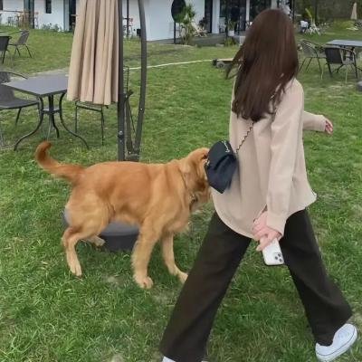 阿丽拉